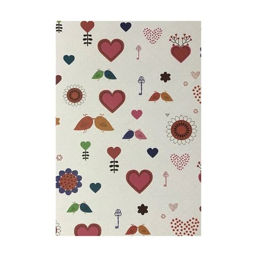 Papel de regalo 25und